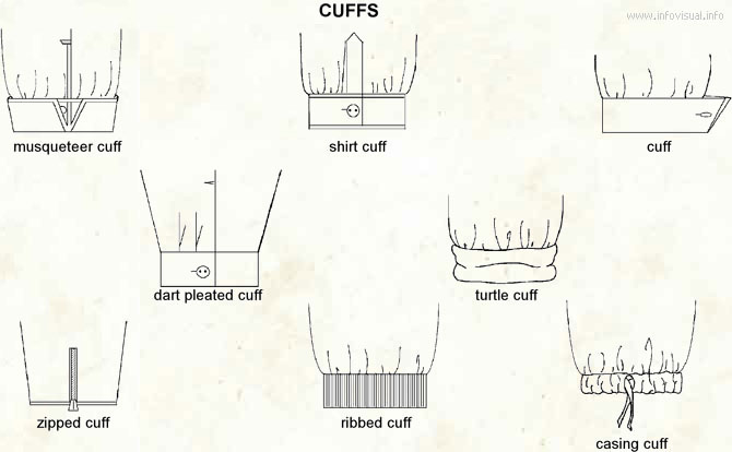Cuff  (Visual Dictionary)